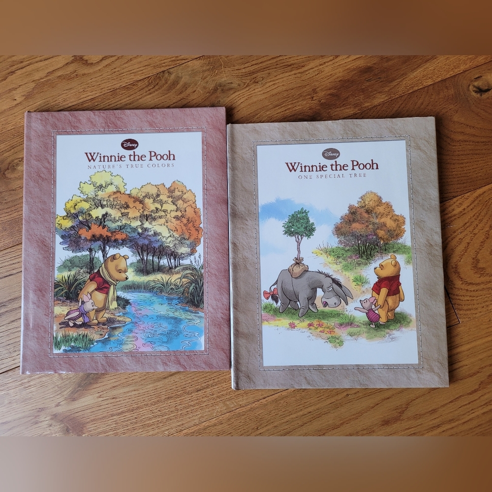 Disney Winnie the Pooh Books